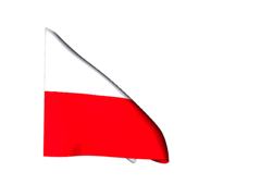 Obrazy news&oacute;w: flagapl.gif