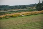dsc_8894_t1.jpg