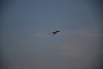 dsc_8906_t1.jpg