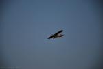 dsc_8907_t1.jpg