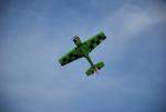 dsc_0945_t1.jpg
